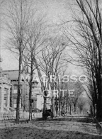 Orange St & Trumbull St